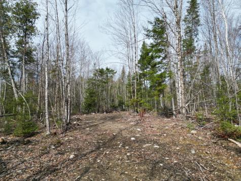 Lot 1 Moores Road Springfield ME 04487