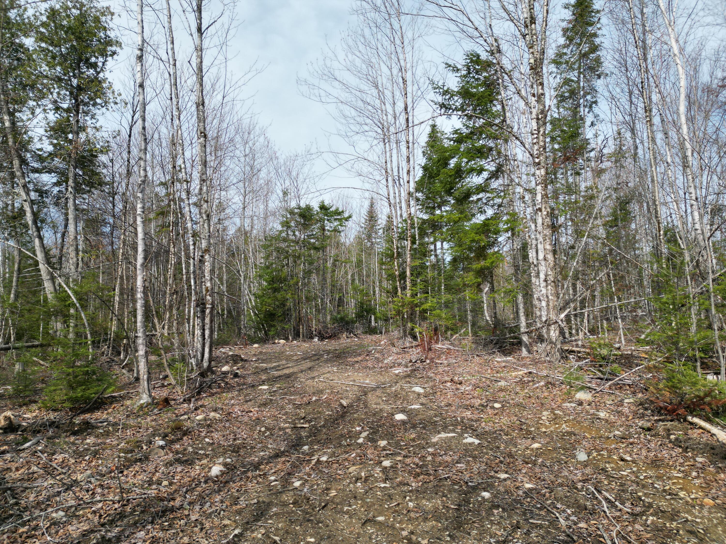 Lot 1 Moores Road Springfield ME 04487