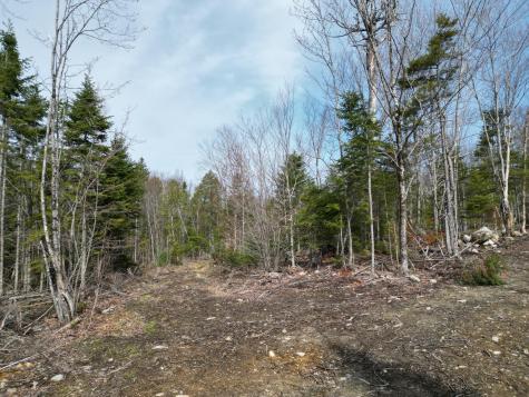 Lot 1 Moores Road Springfield ME 04487