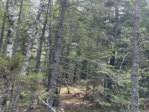 00 Reach Road Deer Isle ME 04627