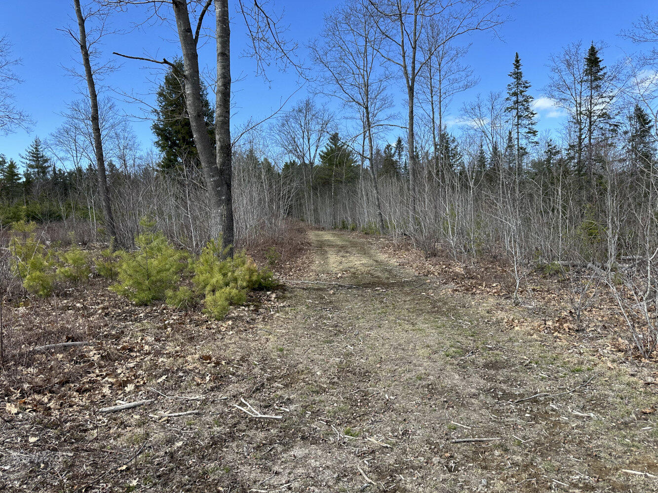 M3 L23-3 Ward Hill Road Norridgewock ME 04957