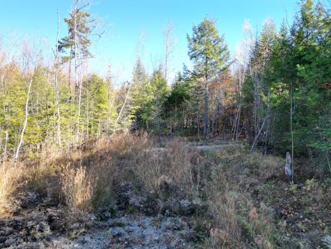 256 Half Township Road Lincoln ME 04457