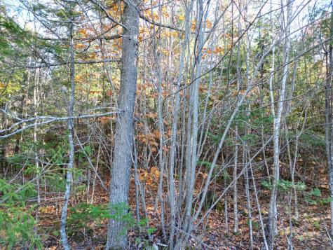 256 Half Township Road Lincoln ME 04457