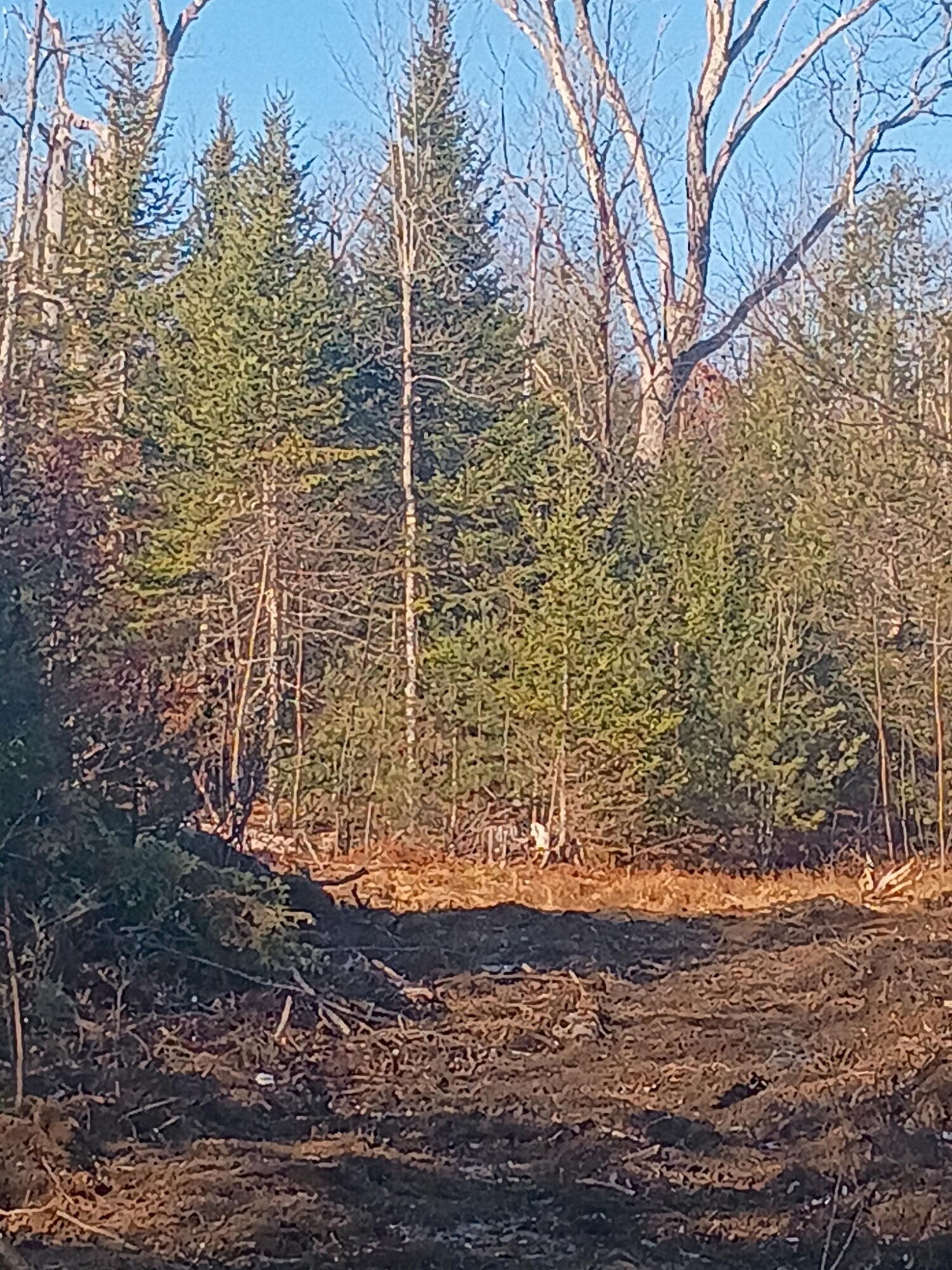 848 Old Stage Road Woolwich ME 04579