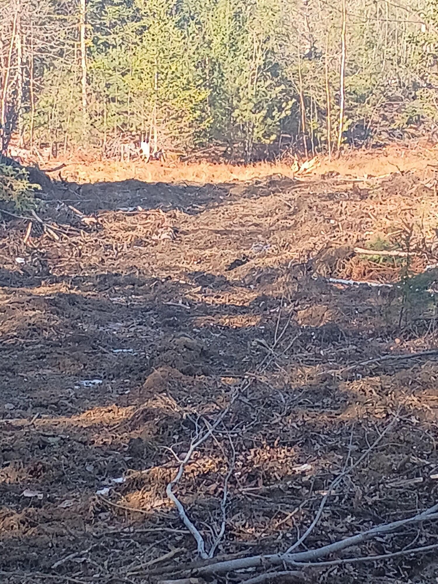 848 Old Stage Road Woolwich ME 04579