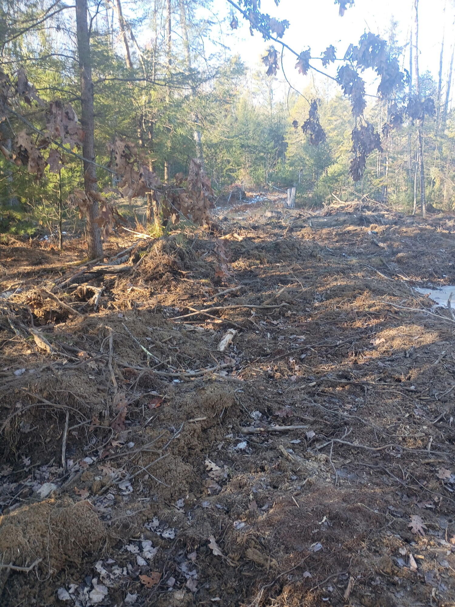 848 Old Stage Road Woolwich ME 04579