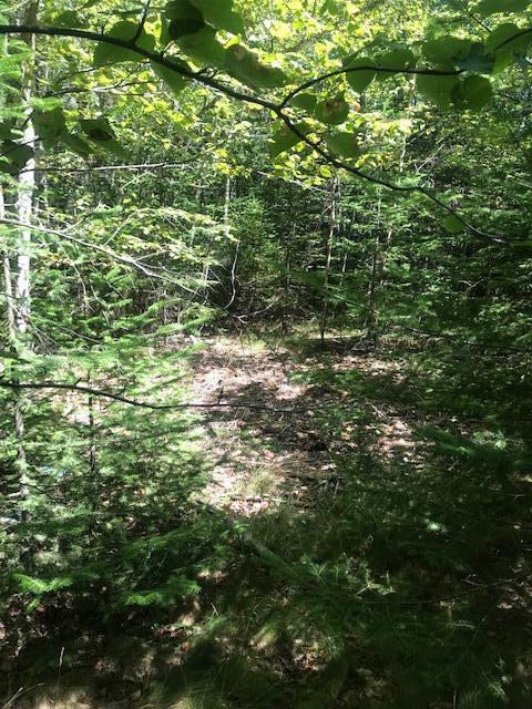 0 Willey District Road Cherryfield ME 04622