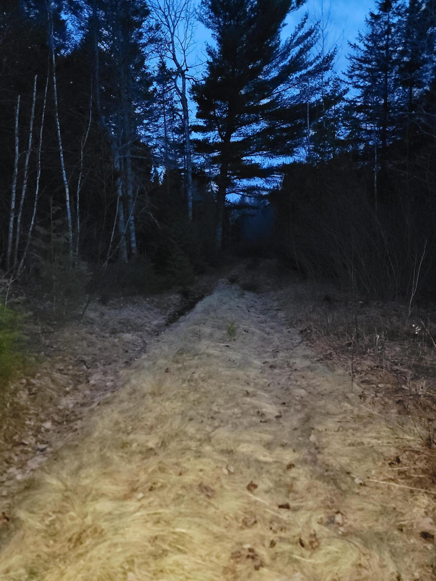 WA031 King Street Marion Twp ME 04628