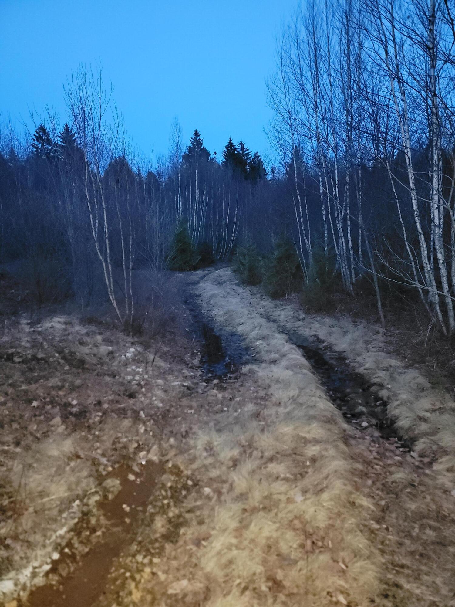 WA031 King Street Marion Twp ME 04628