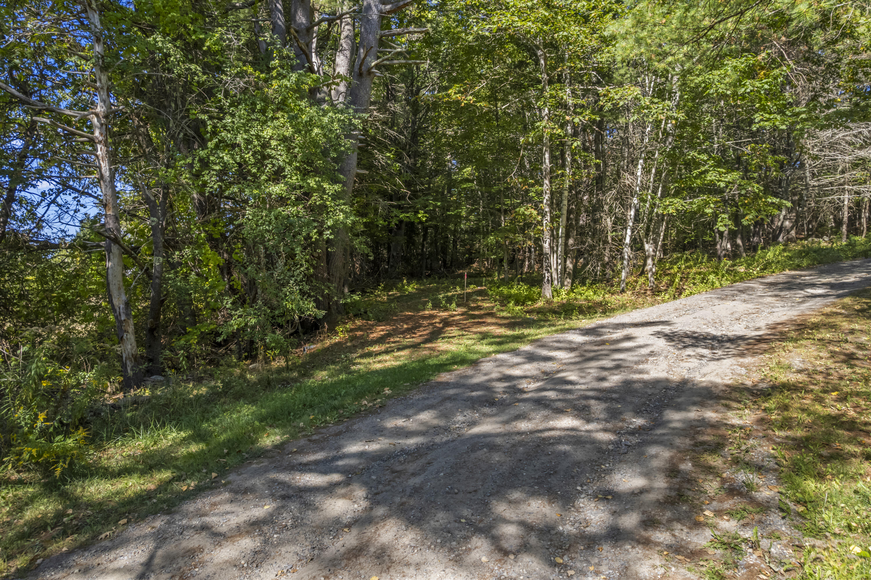 Lot # 0 Deer Ridge Road Wiscasset ME 04578