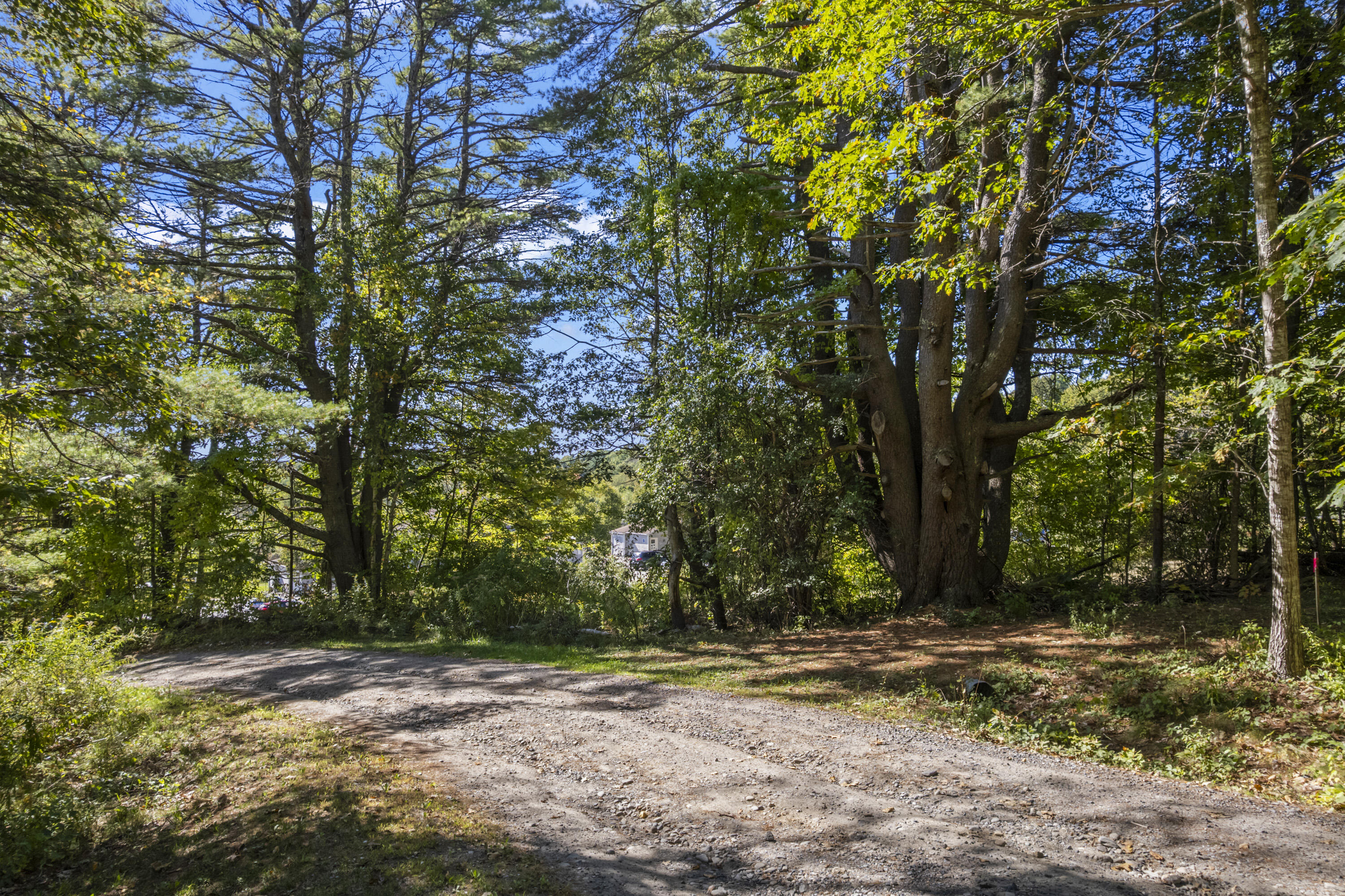 Lot # 0 Deer Ridge Road Wiscasset ME 04578
