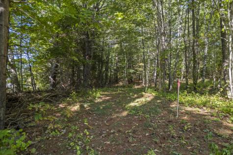 Lot # 0 Deer Ridge Road Wiscasset ME 04578