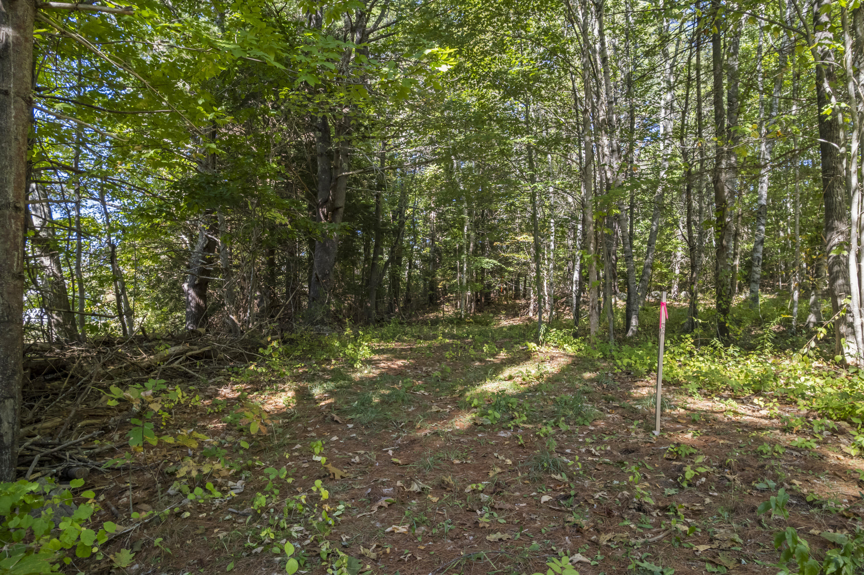 Lot # 0 Deer Ridge Road Wiscasset ME 04578