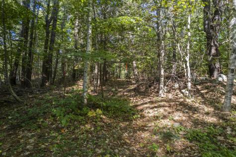 Lot # 0 Deer Ridge Road Wiscasset ME 04578
