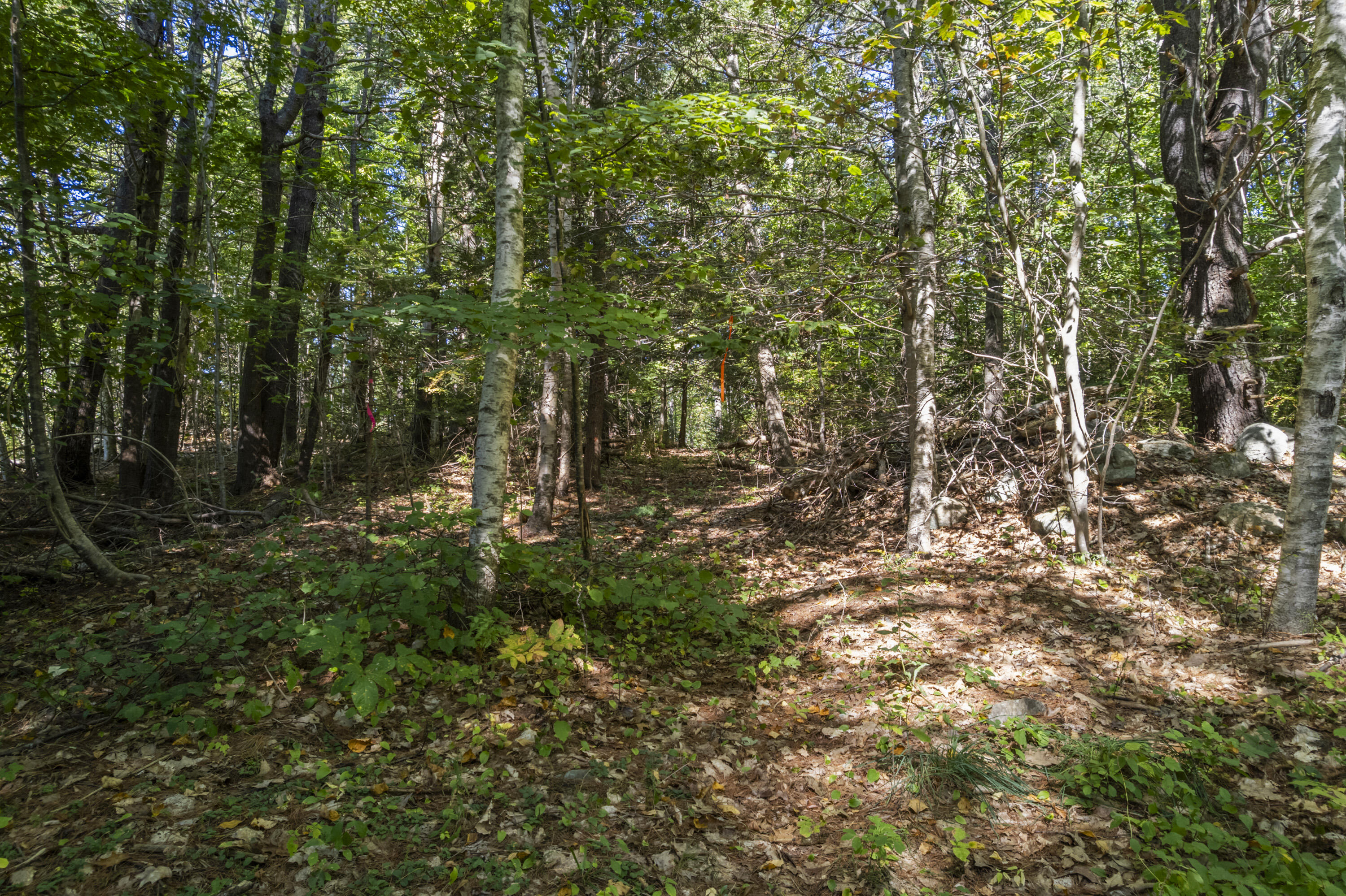 Lot # 0 Deer Ridge Road Wiscasset ME 04578