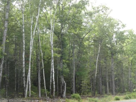 6 Bluff Road Bar Harbor ME 04609