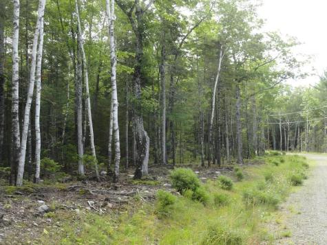 6 Bluff Road Bar Harbor ME 04609