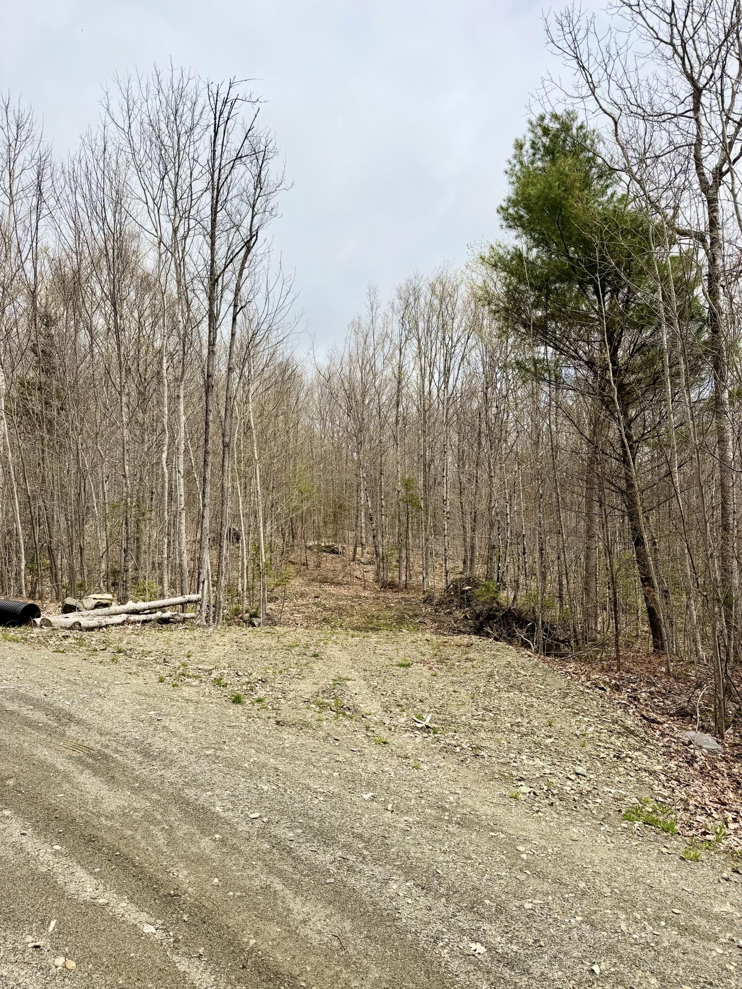 Lot 2 Mooseley Ridge Road Phillips ME 04966
