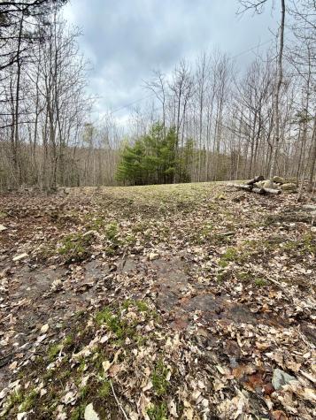 Lot 2 Mooseley Ridge Road Phillips ME 04966