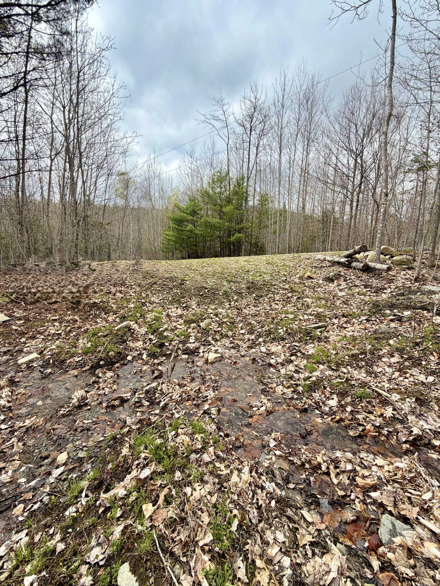 Lot 2 Mooseley Ridge Road Phillips ME 04966