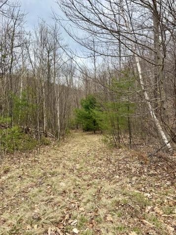 Lot 2 Mooseley Ridge Road Phillips ME 04966