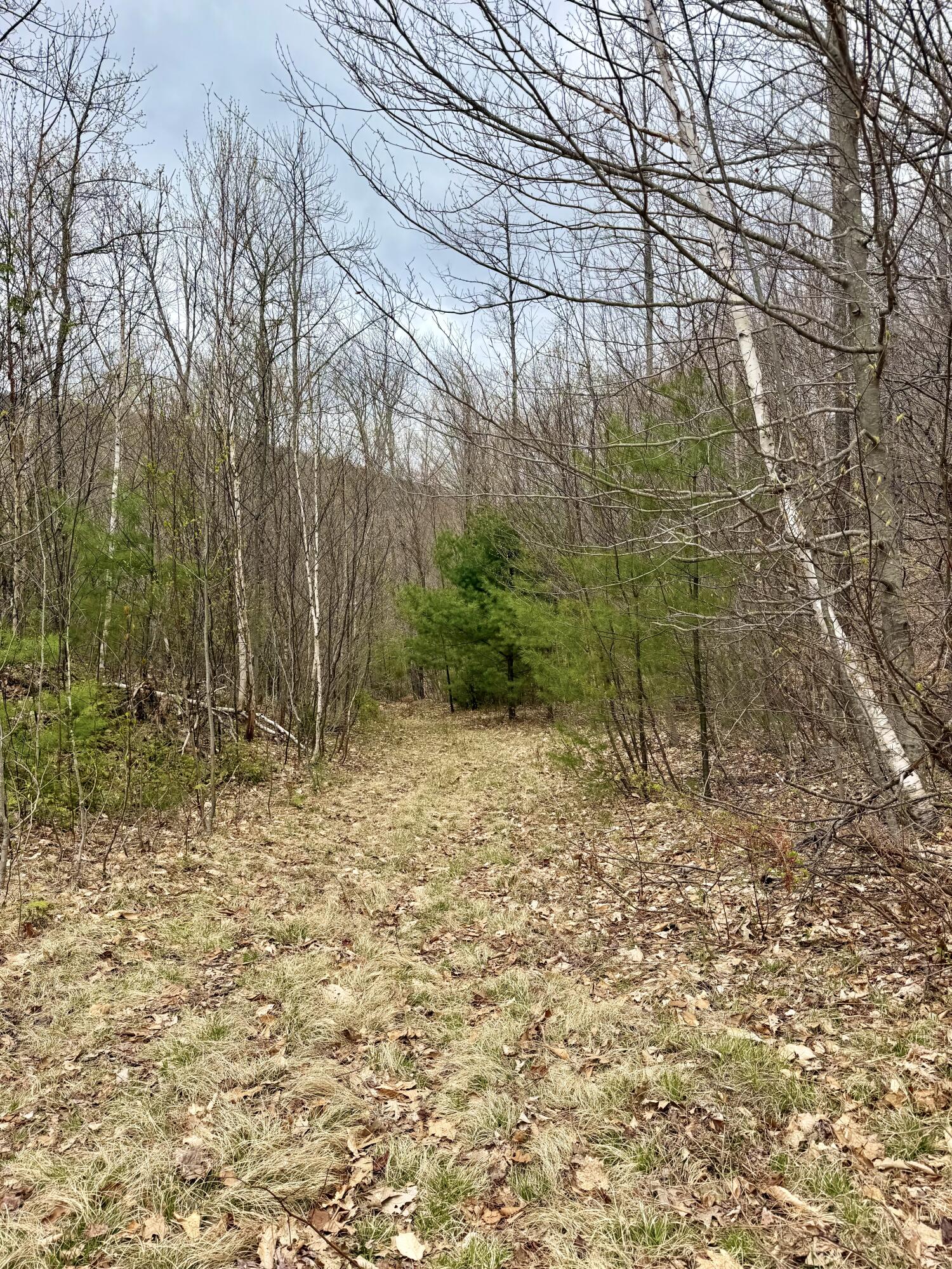 Lot 2 Mooseley Ridge Road Phillips ME 04966