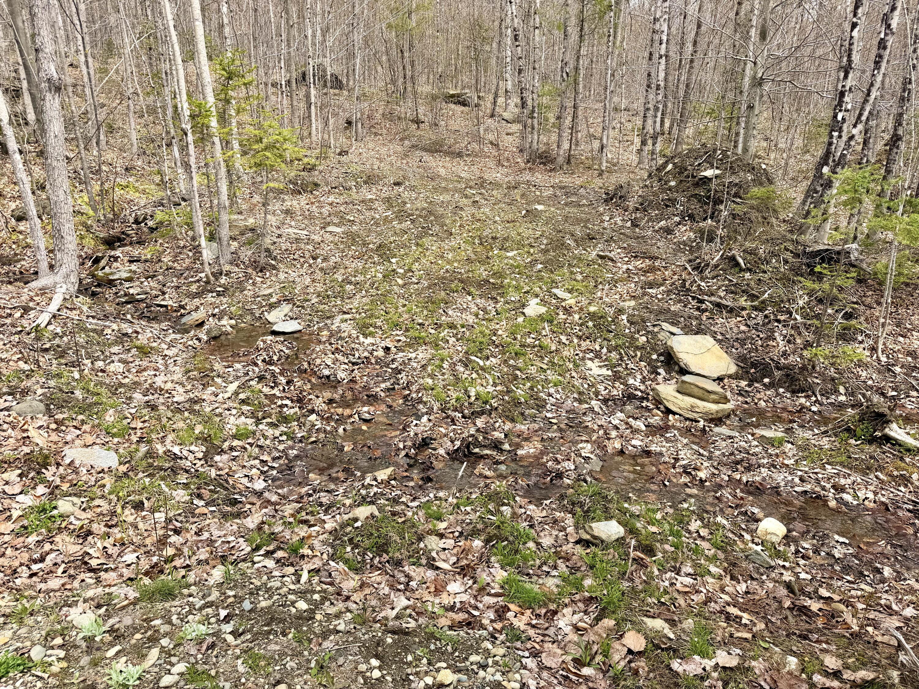 Lot 2 Mooseley Ridge Road Phillips ME 04966