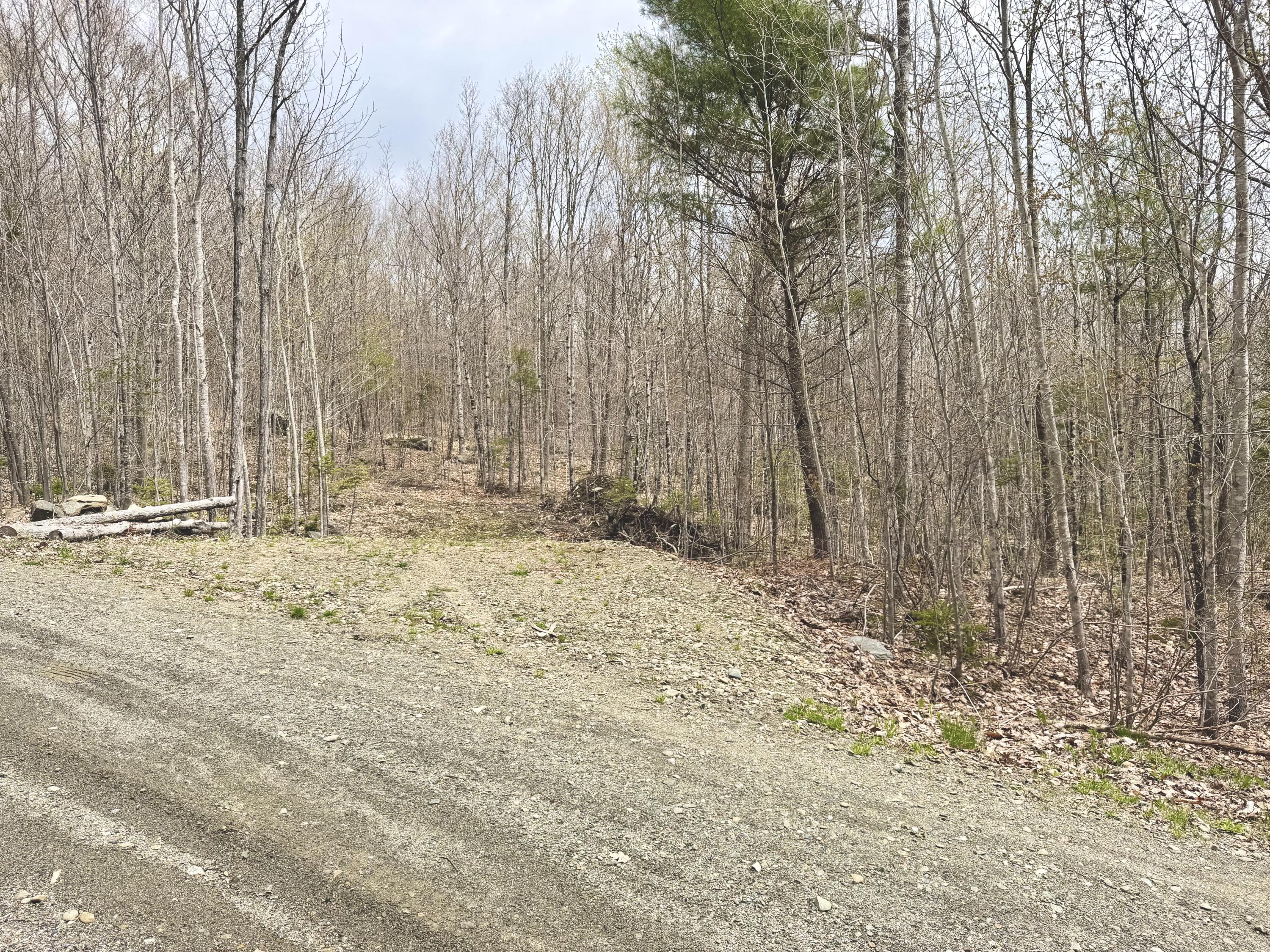 Lot 2 Mooseley Ridge Road Phillips ME 04966