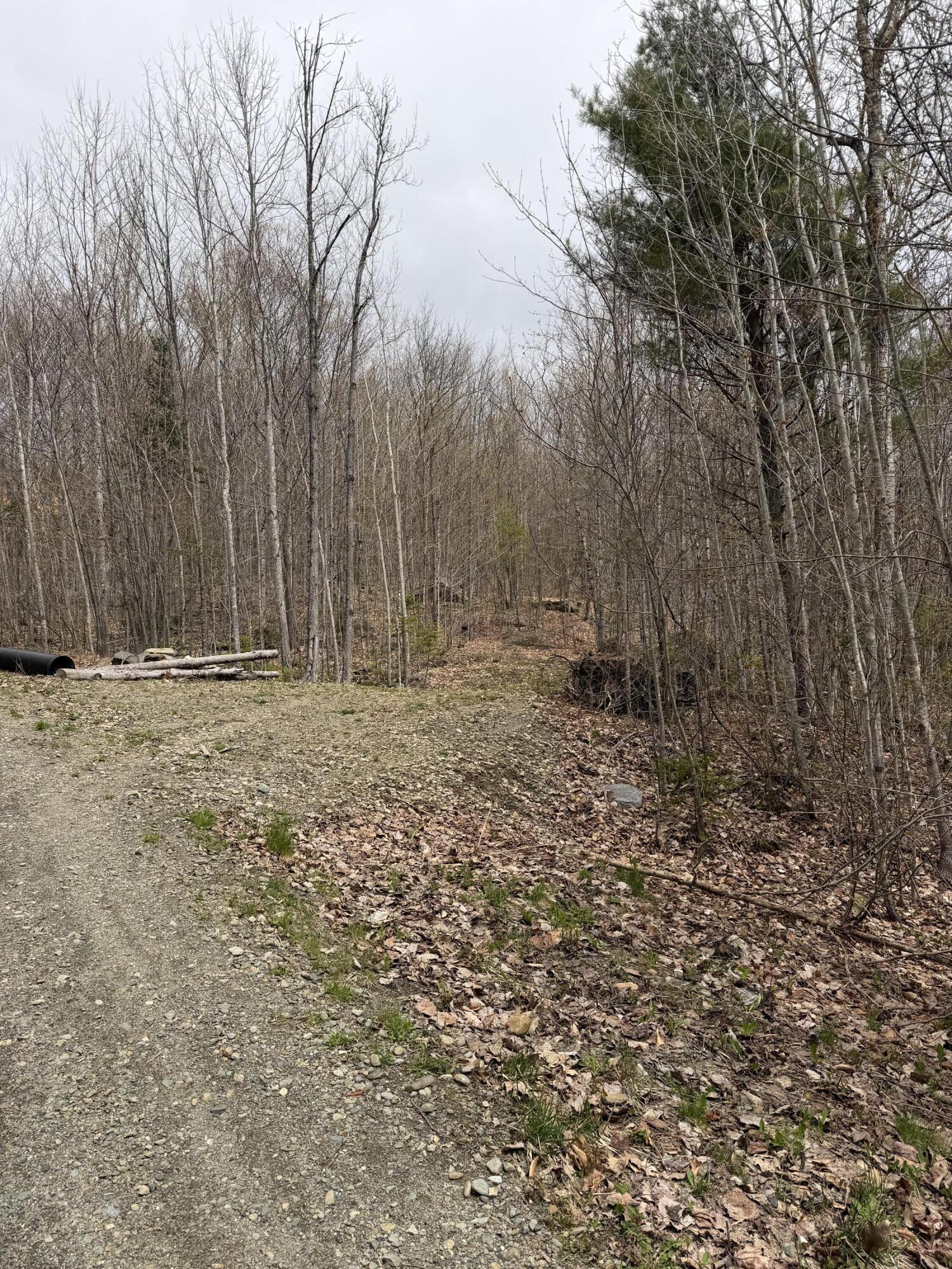 Lot 2 Mooseley Ridge Road Phillips ME 04966
