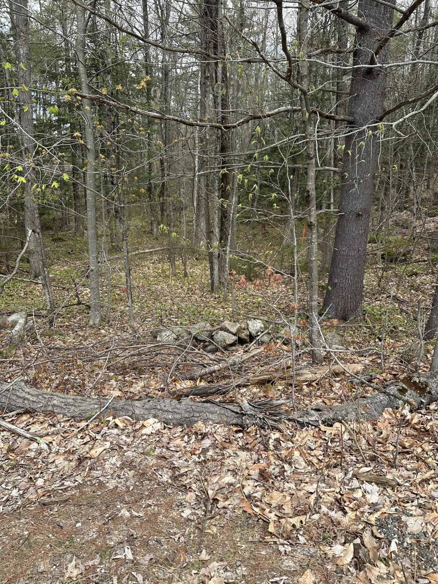 Lot #4 - 344 Moose Hill Road Livermore Falls ME 04254