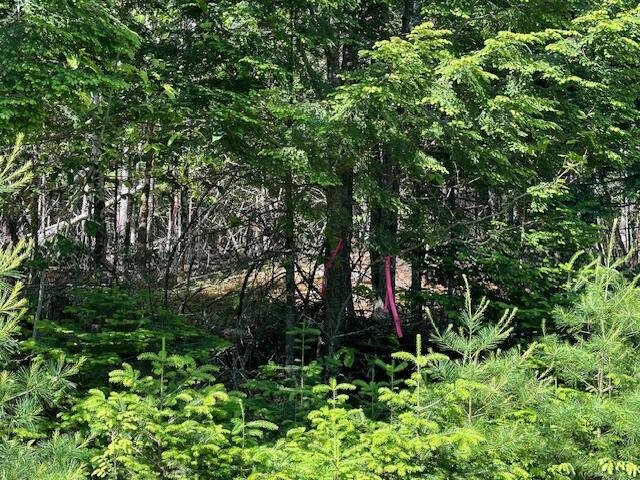 671 Stream Road Winterport ME 04496
