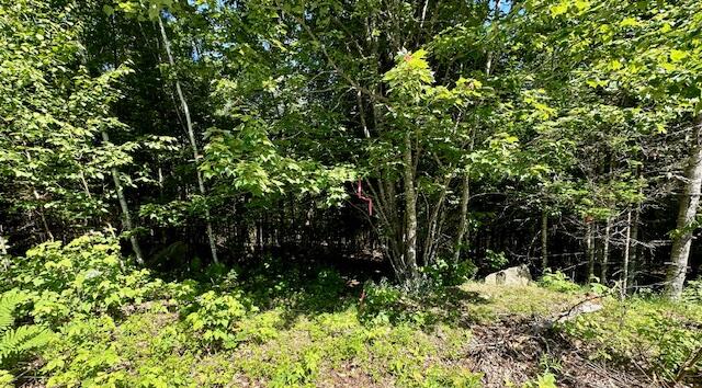 671 Stream Road Winterport ME 04496