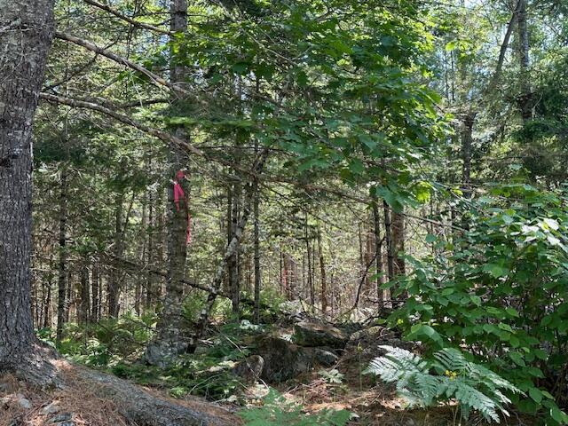 671 Stream Road Winterport ME 04496