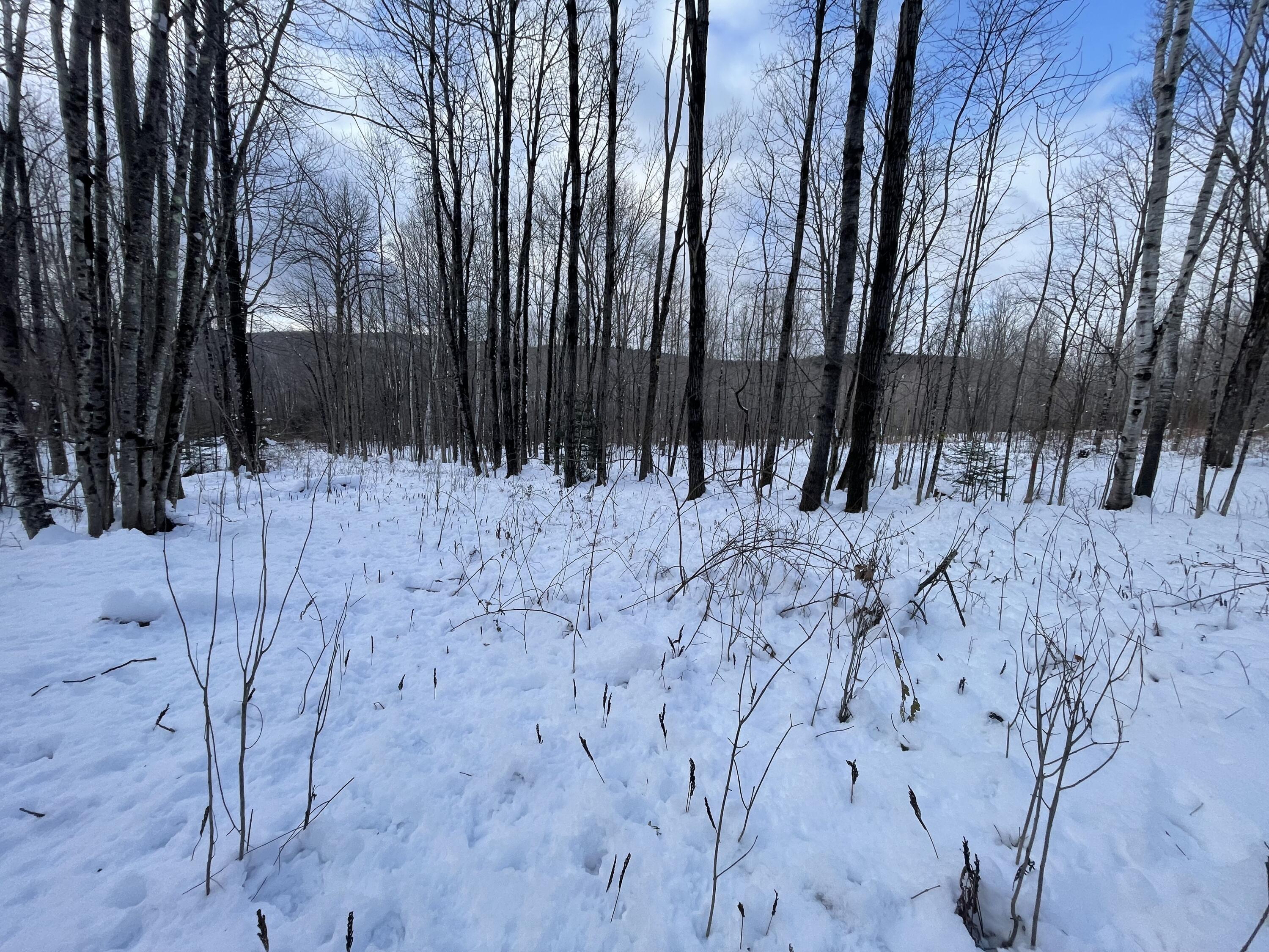 M33 L9 Bubier Road Wilton ME 04294