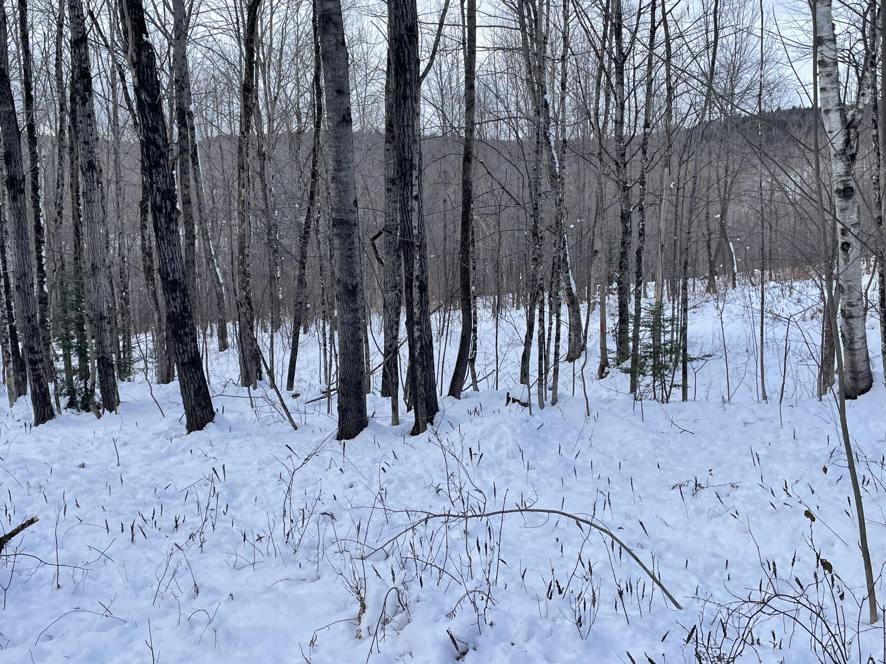 M33 L9 Bubier Road Wilton ME 04294