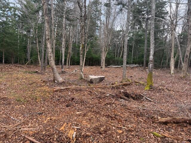 11 Quiet Shore Road Steuben ME 04680