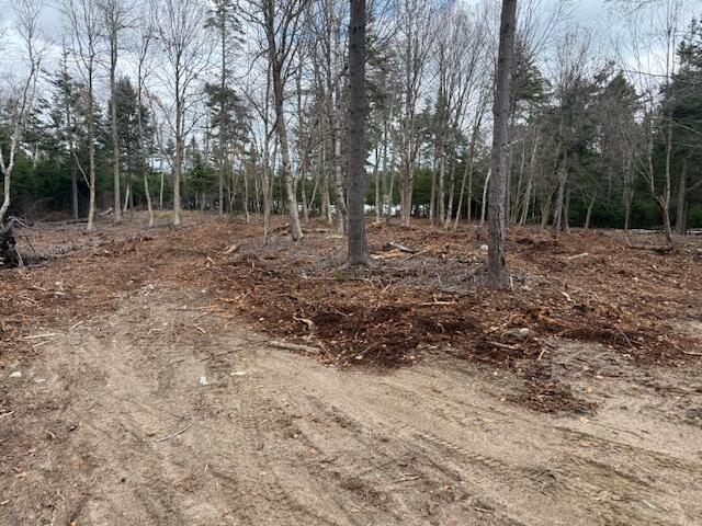 11 Quiet Shore Road Steuben ME 04680