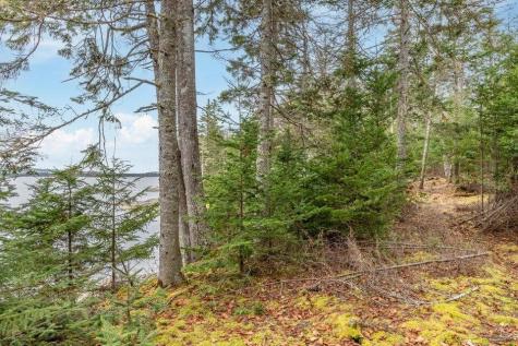 11 Quiet Shore Road Steuben ME 04680
