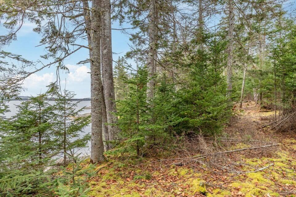 11 Quiet Shore Road Steuben ME 04680