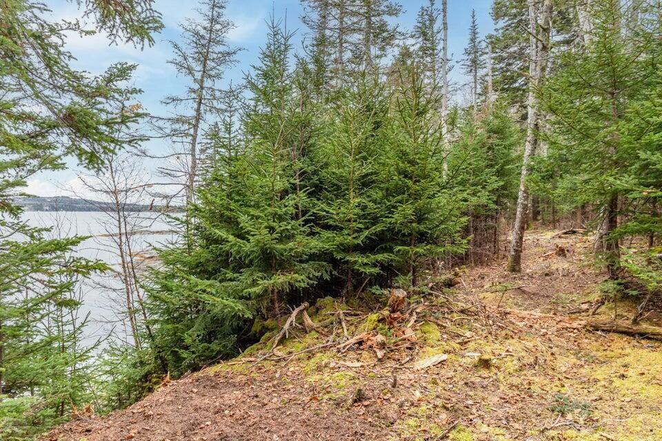 11 Quiet Shore Road Steuben ME 04680