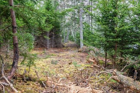 11 Quiet Shore Road Steuben ME 04680