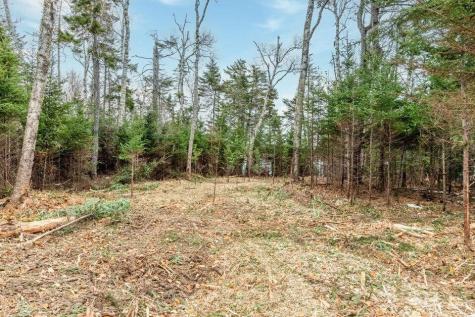 11 Quiet Shore Road Steuben ME 04680