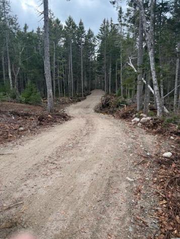 11 Quiet Shore Road Steuben ME 04680