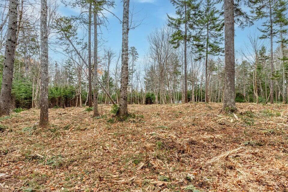 11 Quiet Shore Road Steuben ME 04680