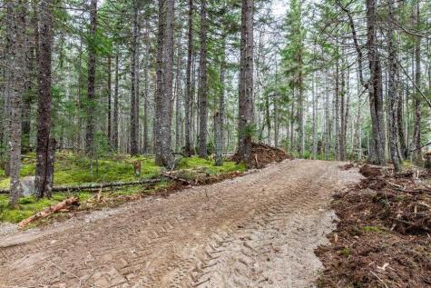 11 Quiet Shore Road Steuben ME 04680