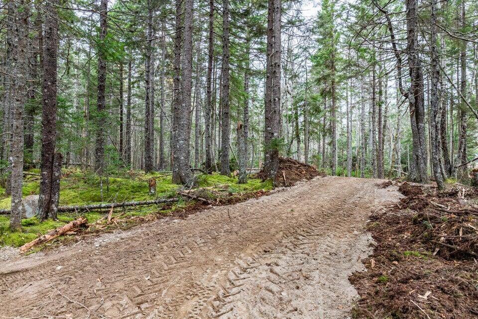 11 Quiet Shore Road Steuben ME 04680