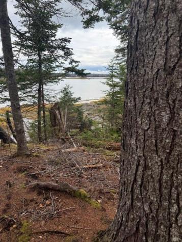 11 Quiet Shore Road Steuben ME 04680