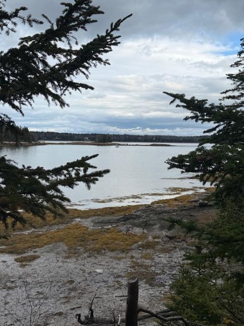 11 Quiet Shore Road Steuben ME 04680