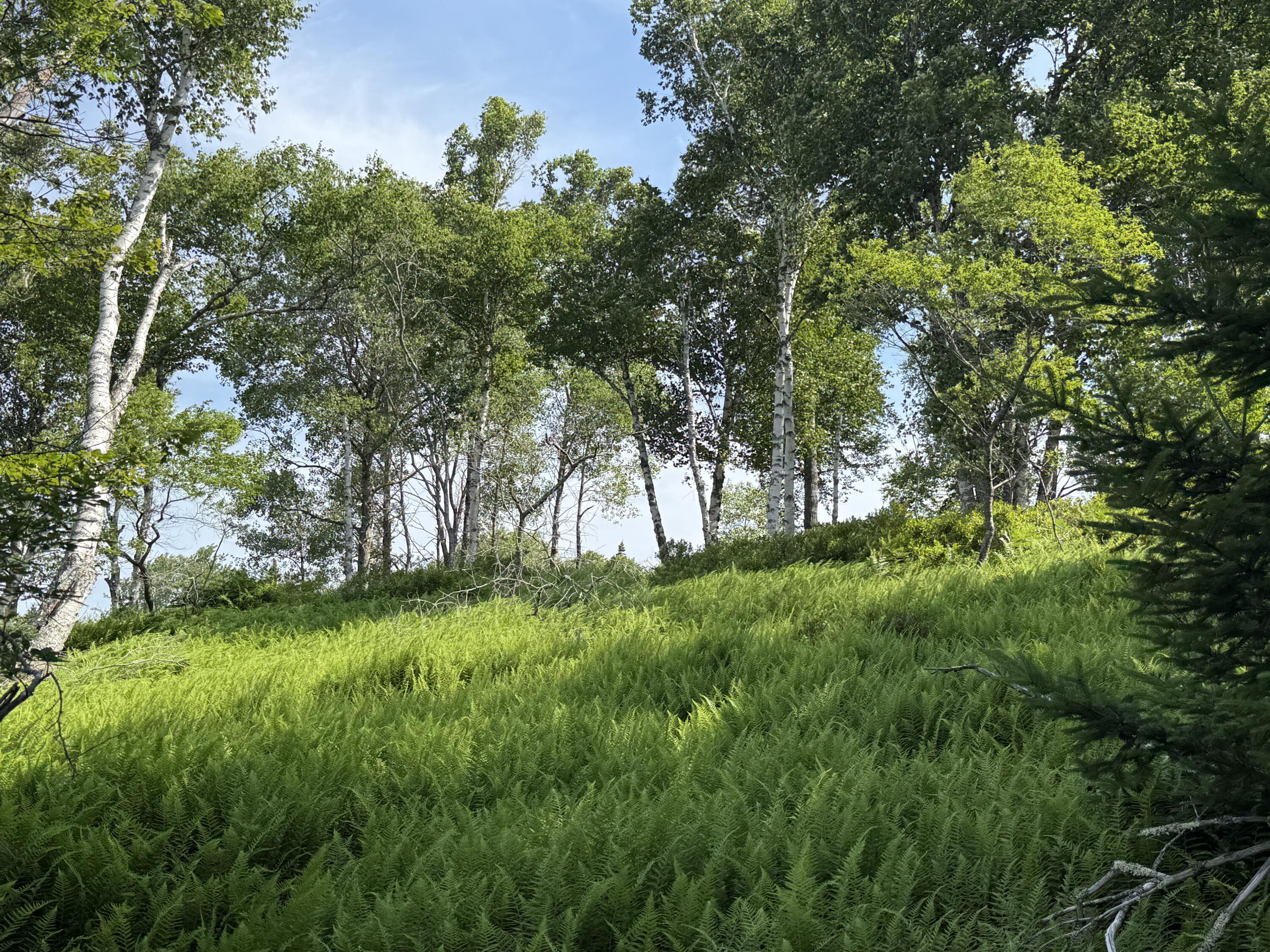 006-60 Round The Island Road Vinalhaven ME 04863