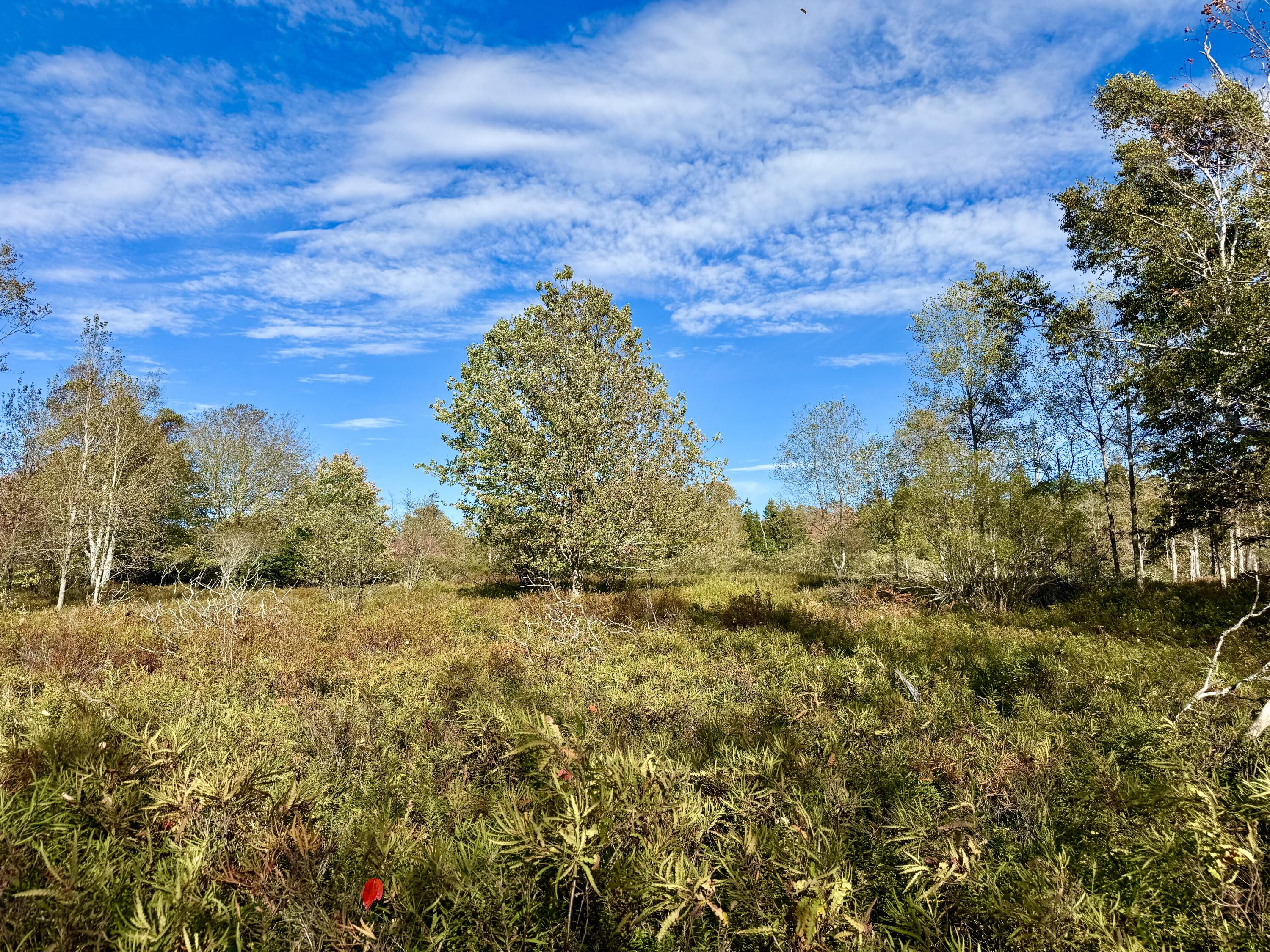 006-60 Round The Island Road Vinalhaven ME 04863